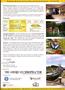 Page: - 33 | The American Chiropractor