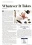 Page: - 56 | The American Chiropractor