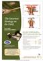 Page: - C4 | The American Chiropractor