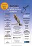 Page: - 43 | The American Chiropractor