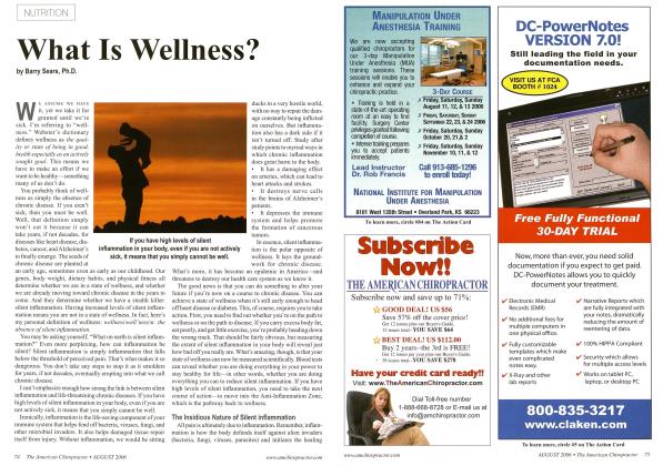 What Is Wellness?