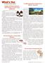 Page: - 9 | The American Chiropractor