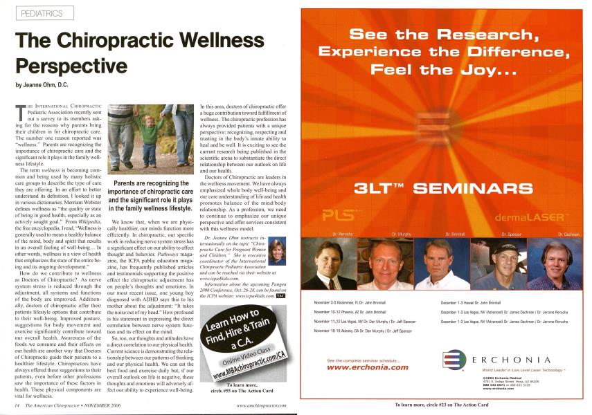 The Chiropractic Wellness Perspective
