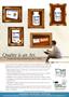 Page: - 3 | The American Chiropractor