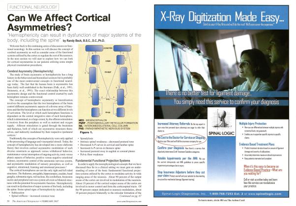 Can We Affect Cortical Asymmetries?