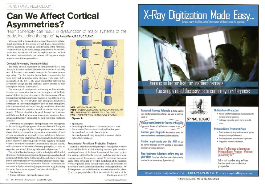 Can We Affect Cortical Asymmetries?