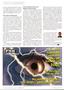 Page: - 24 | The American Chiropractor
