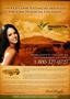 Page: - 15 | The American Chiropractor