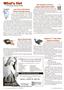 Page: - 10 | The American Chiropractor