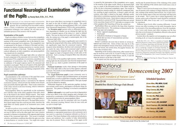 Functional Neurological Examination