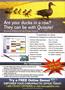 Page: - 27 | The American Chiropractor