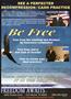 Page: - 13 | The American Chiropractor