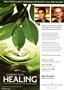 Page: - 33 | The American Chiropractor