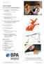 Page: - 6 | The American Chiropractor