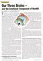 Page: - 26 | The American Chiropractor
