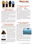 Page: - 61 | The American Chiropractor