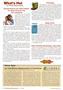 Page: - 8 | The American Chiropractor