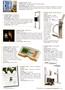 Page: - 13 | The American Chiropractor