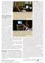 Page: - 20 | The American Chiropractor