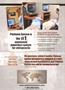 Page: - 13 | The American Chiropractor