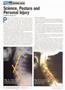 Page: - 40 | The American Chiropractor
