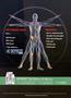 Page: - 7 | The American Chiropractor