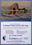 Page: - 11 | The American Chiropractor