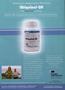Page: - 7 | The American Chiropractor