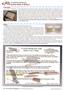 Page: - 36 | The American Chiropractor
