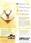 Page: - 17 | The American Chiropractor