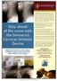 Page: - 33 | The American Chiropractor