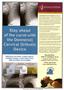 Page: - 19 | The American Chiropractor
