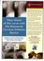 Page: - 2 | The American Chiropractor