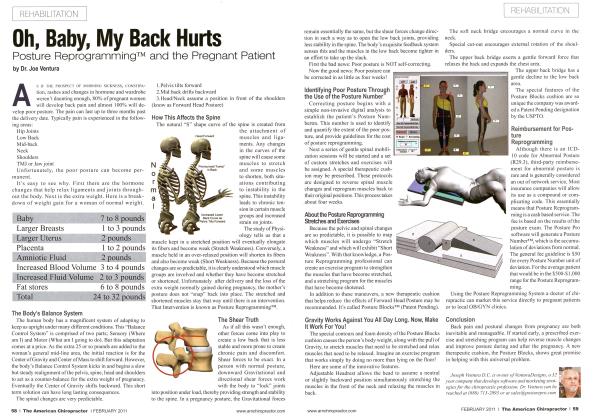 Oh, Baby, My Back Hurts Posture Reprogramming and the Pregnant Patient