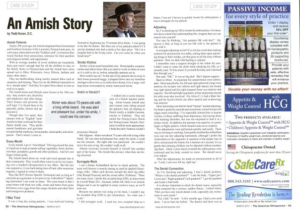 An Amish Story