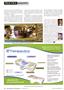 Page: - 38 | The American Chiropractor
