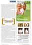 Page: - 27 | The American Chiropractor