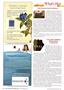 Page: - 10 | The American Chiropractor