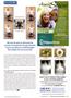 Page: - 27 | The American Chiropractor
