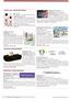 Page: - 32 | The American Chiropractor