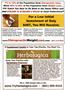 Page: - 3 | The American Chiropractor