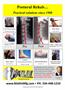 Page: - 49 | The American Chiropractor