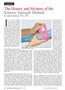 Page: - 26 | The American Chiropractor