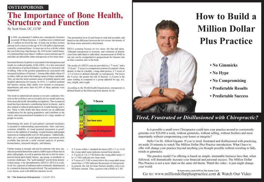 The Importance of Bone Health, Structure and Function