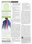 Page: - 24 | The American Chiropractor