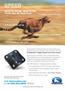 Page: - C2 | The American Chiropractor