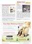 Page: - 13 | The American Chiropractor