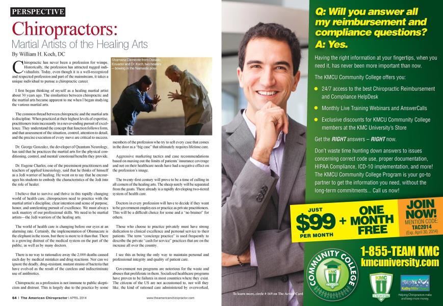 Chiropractors: Martial Artists of the Healing Arts