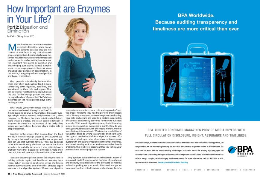 How Important are Enzymes in Your Life?