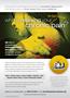 Page: - 1 | The American Chiropractor